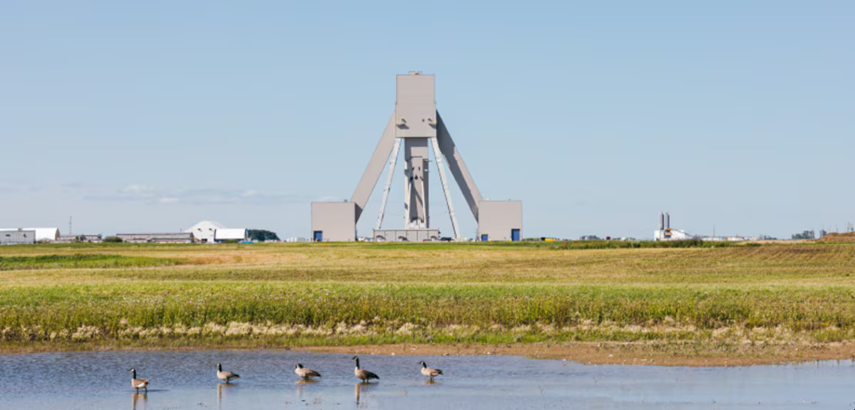 BHP sees potash heading toward deficit as demand outpaces supply