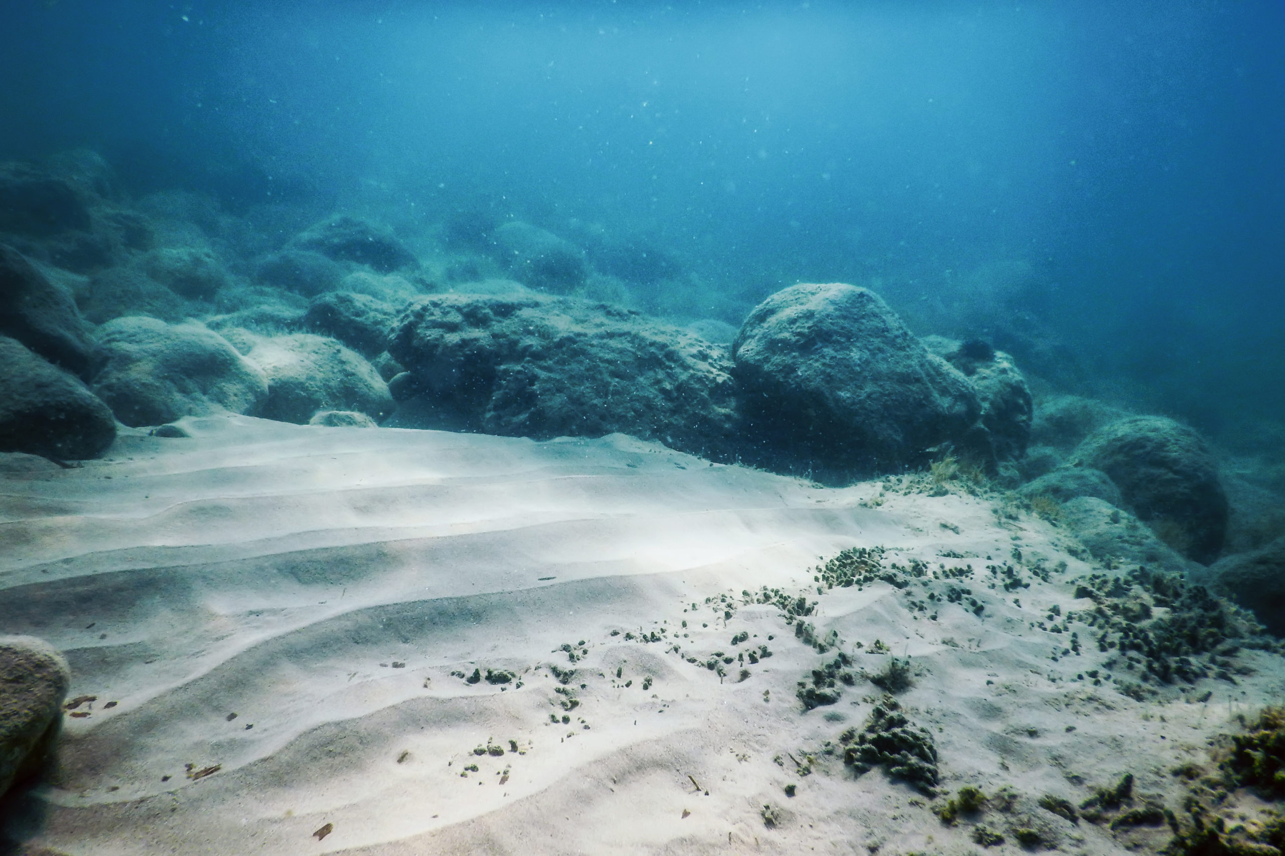 Deep Sea Minerals seeks exploration license