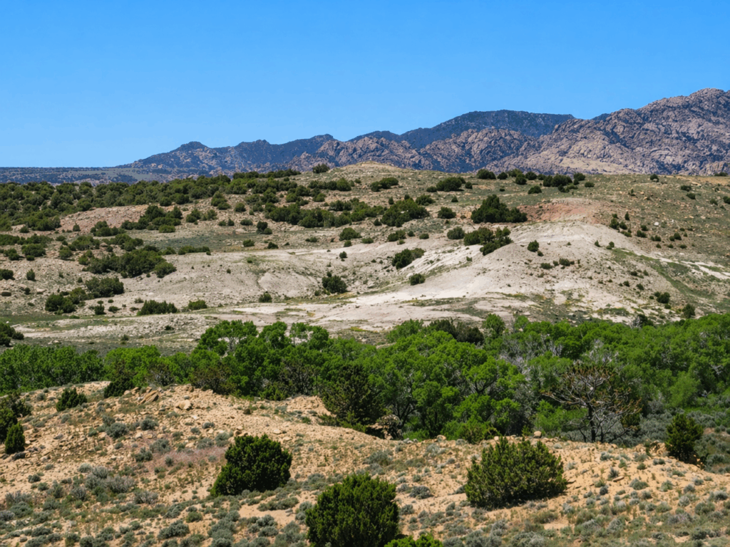 Myriad’s Wyoming uranium district build-out: scale and drilling lens for mine planners