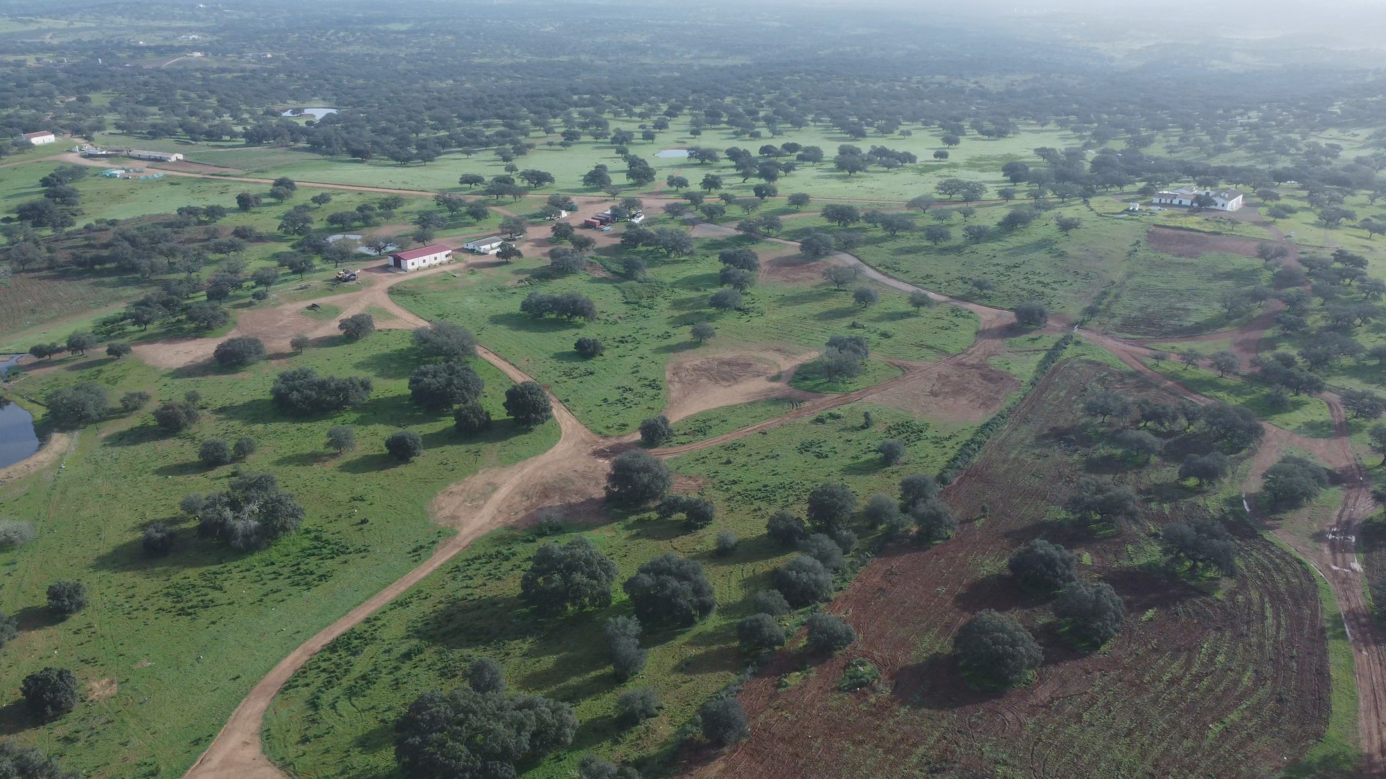 Denarius boosts Emerita bid after CEO, chairman quit