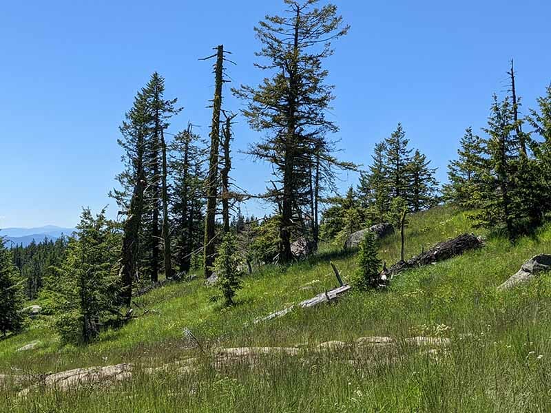 US Tribe holds up magnesium project in Canada