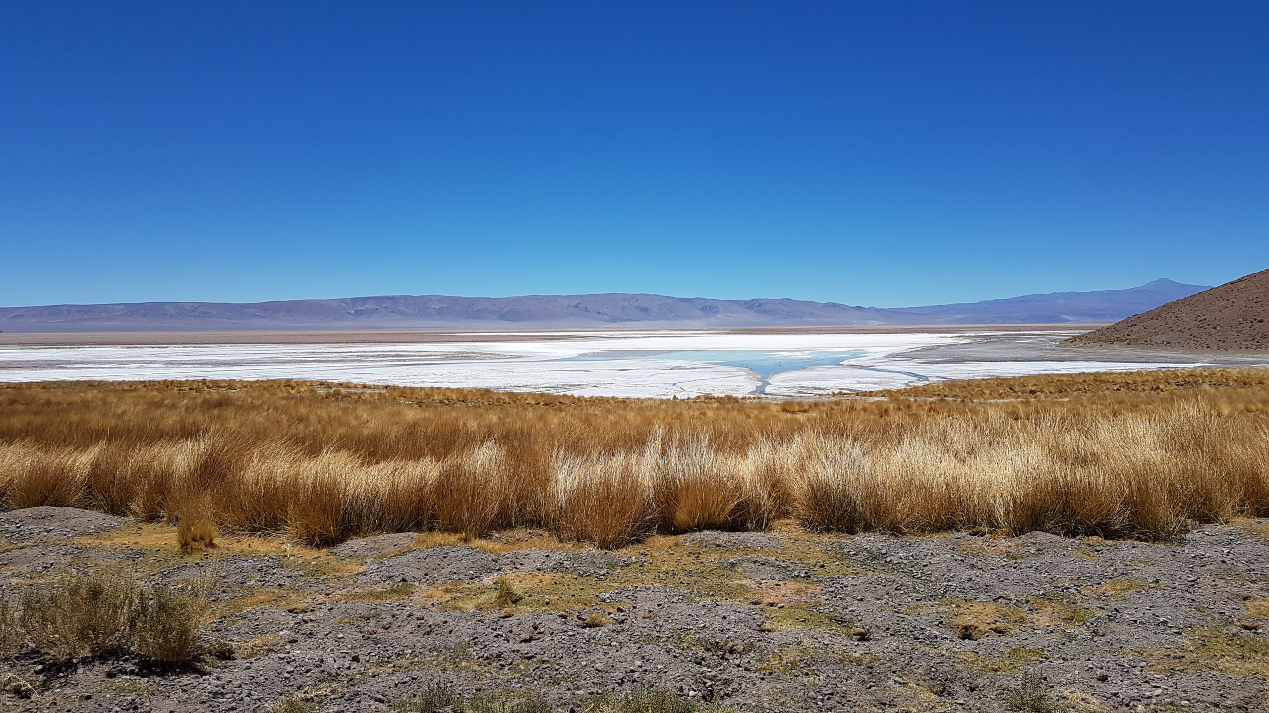 Argentina Lithium enters $100M deal with Chinese partner to advance Rincon West