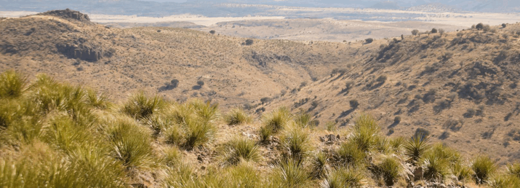 ION Minerals lithium brine expansion: resource scale and project lens for engineers