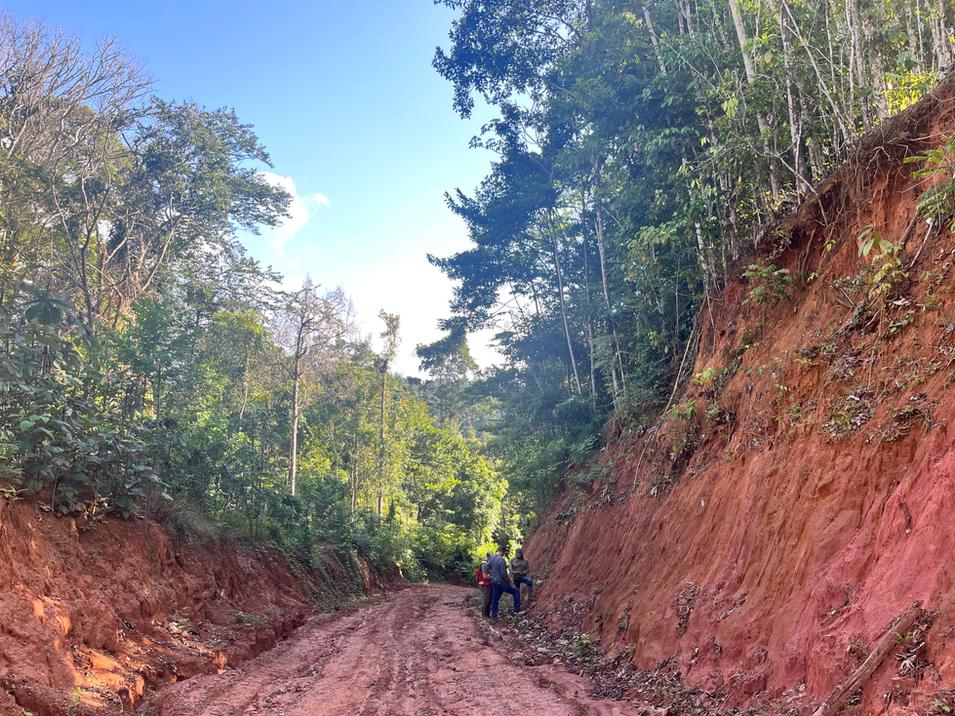 La Mancha’s Greenheart Gold deal deepens Guiana Shield exposure