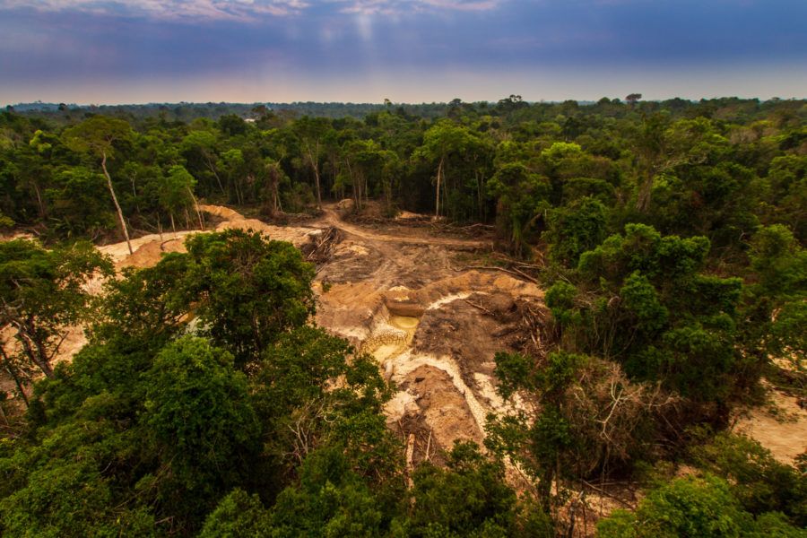 Illegal miners extract billions in Amazon gold despite Brazil crackdown, Greenpeace finds