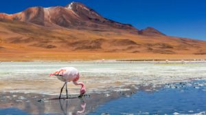 Chile’s Atacama Desert is becoming sweet spot for energy storage