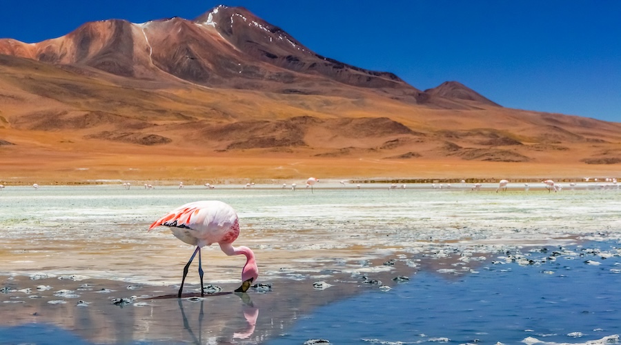 Chile’s Atacama Desert is becoming sweet spot for energy storage