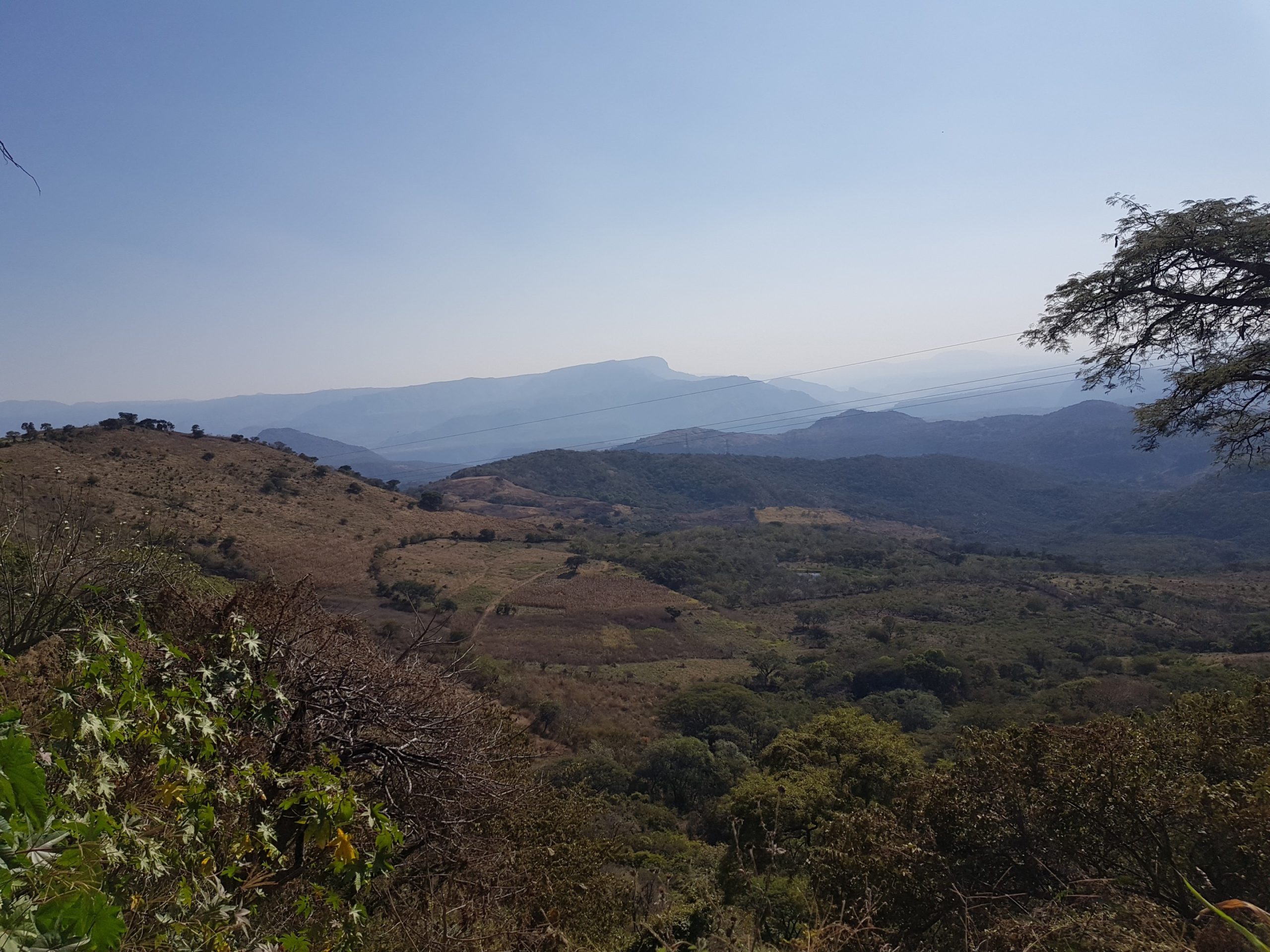 GoGold approved to build $227M mine in Mexico