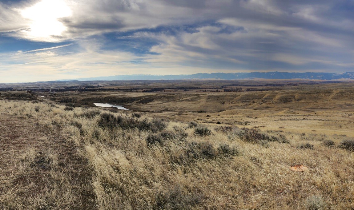 Ramaco Resources, REalloys ink offtake MoU for rare earths carbonate from Brook mine 