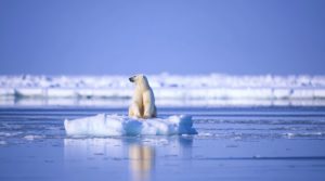 Op-Ed: The Arctic won't save the energy transition